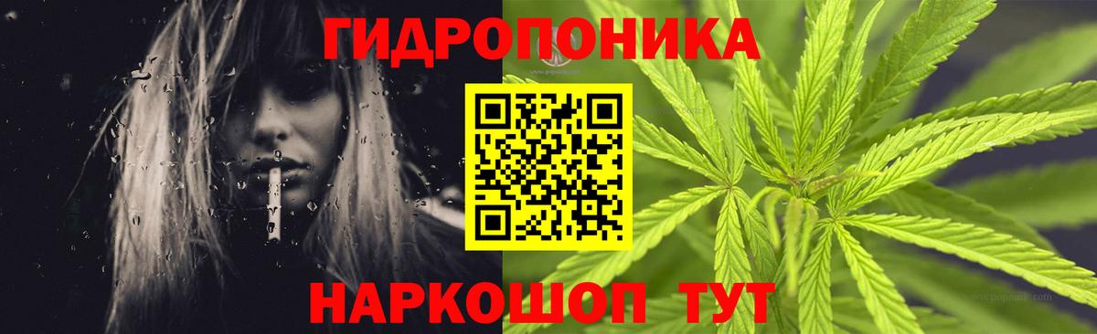 Шишки марихуана Ganja  Бошки Шишки тримм  Якутск  Конопля ГИДРОПОН  Вход с VPN 